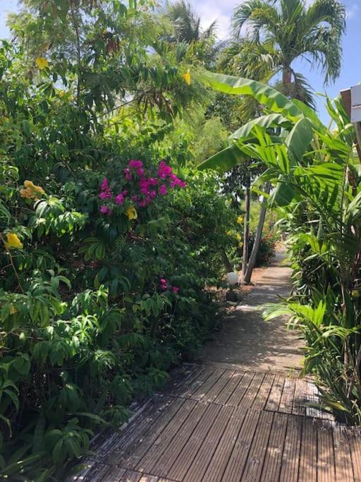 Secteur Prise, Bungalow Corail, Residence Casa Boubou Sainte-Anne (Grande-Terre) Exterior foto