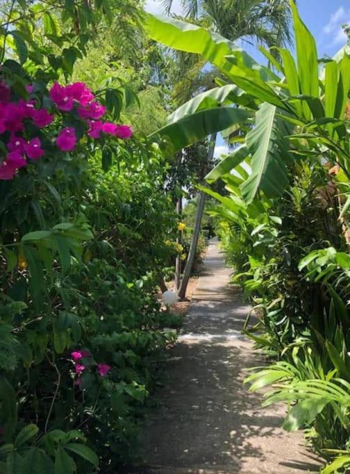 Secteur Prise, Bungalow Corail, Residence Casa Boubou Sainte-Anne (Grande-Terre) Exterior foto